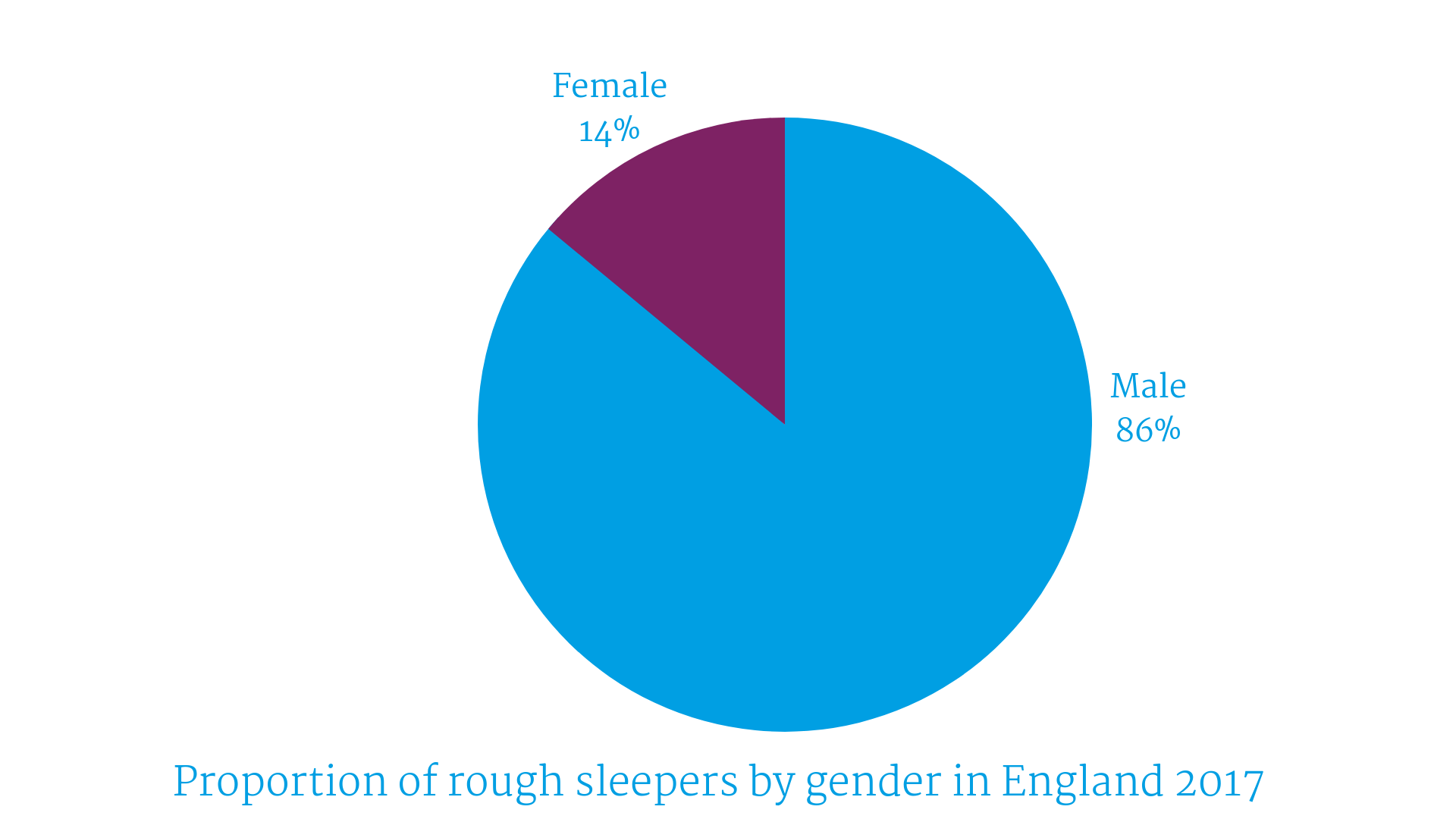 rough sleepers by gender in England 2017