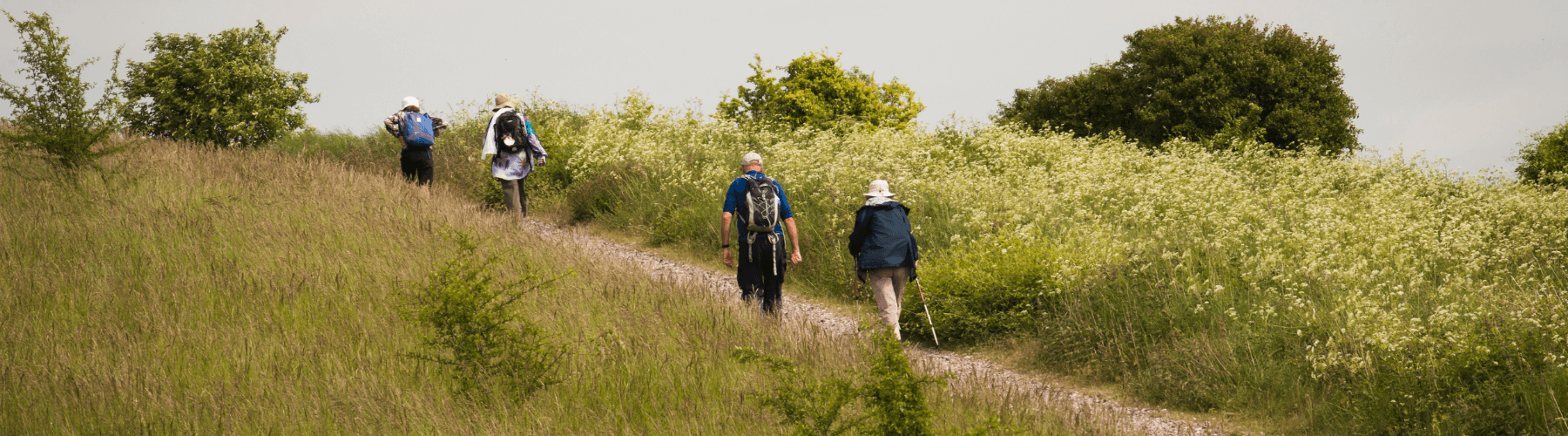 people walking photo