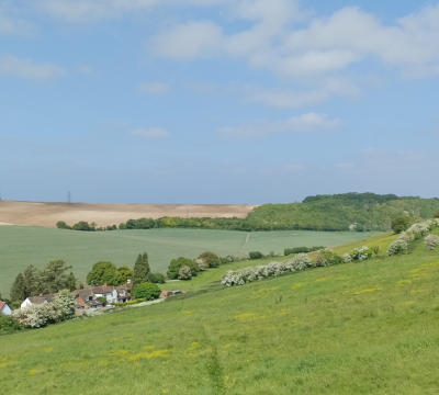 green hill at The Pilgrimage 2023